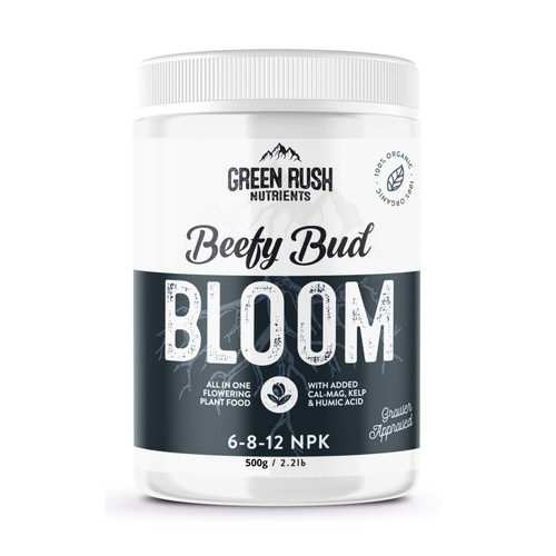 Beefy bud bloom - beefy, flowering