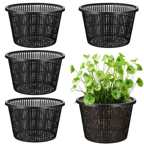 5er pack zoll wasser - 5er,