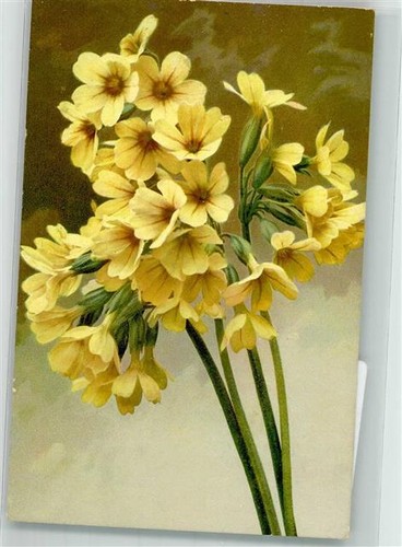 39911083 blumenk serie - -, blumenk.