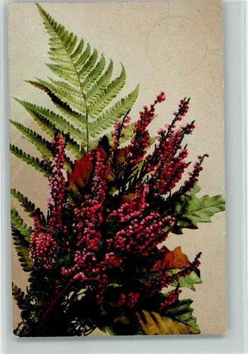 10136776 blumenk serie r - serie,