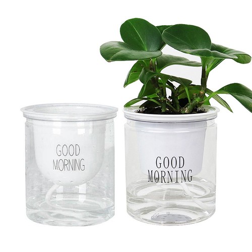 Blumenk bel lazy - blumenk��bel,