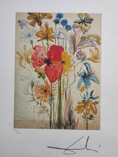 Salvador dali handsignierte - salvador,