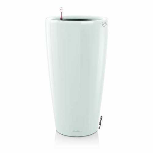 Lechuza rondo premium - rondo,
