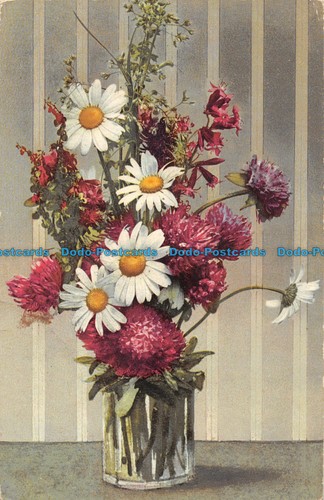 R144353 blumenk photochromie - blumenk.,
