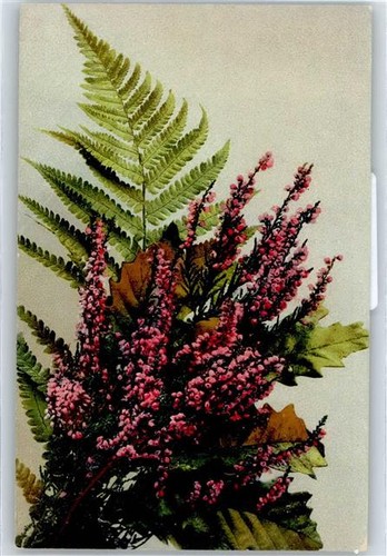 50860011 blumenk serie r - -, blumenk.
