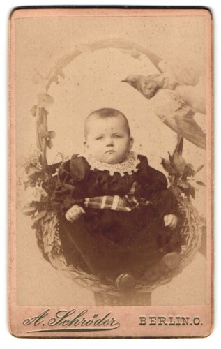 Fotografie schröder - a.,